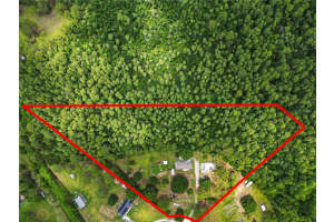 8652 CROSS CREEK ROAD, POLK CITY, FL 33868 Sold 07/09/25