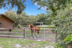6819 BROKEN ARROW TRAIL, LAKELAND, FL 33813 Sold 08/07/25