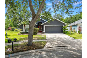 16804 HAWKRIDGE ROAD, LITHIA, FL 33547 Sold 08/19/25