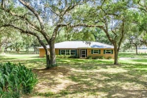 203 Boyer St, VENUS