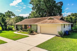 2223 Wildwood Hollow Dr, VALRICO