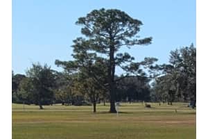 120 TROPICANA DRIVE, INDIAN LAKE ESTATES, FL 33855 - MLS#MFRL4953537