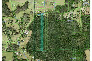 00 GREEN POND ROAD, POLK CITY, FL 33868 - MLS#MFRL4953719