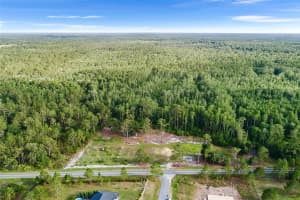 00 GREEN POND ROAD, POLK CITY, FL 33868 - MLS#MFRL4953719