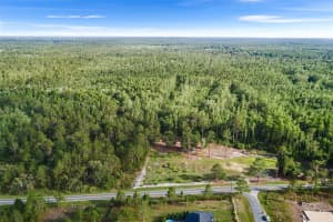 00 GREEN POND ROAD, POLK CITY, FL 33868 - MLS#MFRL4953719