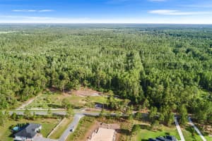 00 GREEN POND ROAD, POLK CITY, FL 33868 - MLS#MFRL4953719