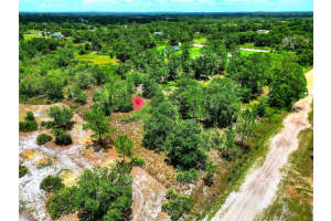 0 ALLISON AVENUE, LAKE WALES, FL 33859 - MLS#MFRL4953773
