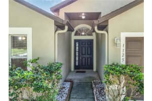 1125 BLACKJACK RIDGE STREET, MINNEOLA, FL 34715 - MLS#MFRL4953843