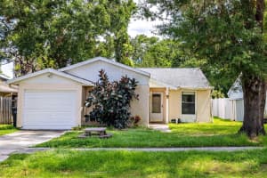12212 Hidden Brook Dr, TAMPA