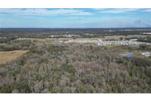 38238 HIGGINSON ROAD, ZEPHYRHILLS, FL 33540 - MLS#MFRL4954045