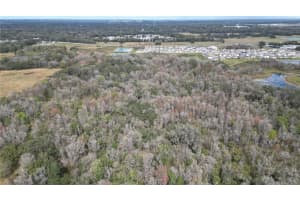 38238 HIGGINSON ROAD, ZEPHYRHILLS, FL 33540 - MLS#MFRL4954045