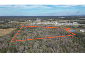 38238 HIGGINSON ROAD, ZEPHYRHILLS, FL 33540 - MLS#MFRL4954045