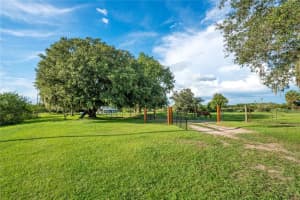 5720 OLD HOMELAND ROAD, BARTOW, FL 33830 - MLS#MFRL4954053