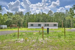 12440 RANCHLAND TRAIL, LAKELAND, FL 33809 - MLS#MFRL4954143