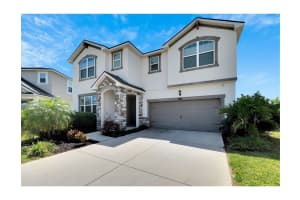 10646 PLANER PICKET DRIVE, RIVERVIEW, FL 33569 - MLS#MFRL4954187