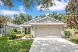 11607 Hammocks Glade Dr, RIVERVIEW