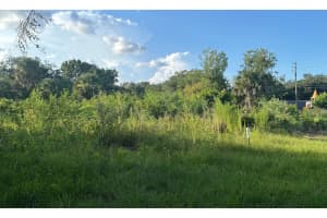 0 BUTLER AVENUE, KISSIMMEE, FL 34741 - MLS#MFRL4954455