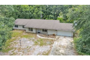 19701 LIVINGSTON AVENUE, LUTZ, FL 33559 Sold 08/21/25