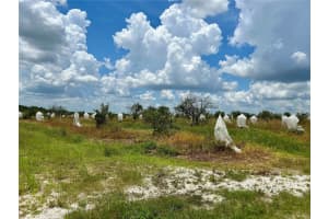 2600 OAK ISLAND ROAD, AVON PARK, FL 33825 - MLS#MFRL4954612