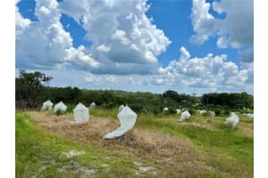 2600 OAK ISLAND ROAD, AVON PARK, FL 33825 - MLS#MFRL4954612