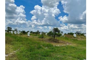 2600 OAK ISLAND ROAD, AVON PARK, FL 33825 - MLS#MFRL4954612