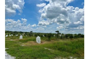 2600 OAK ISLAND ROAD, AVON PARK, FL 33825 - MLS#MFRL4954612