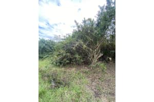 933 HENRY STREET, PUNTA GORDA, FL 33950 - MLS#MFRL4954848