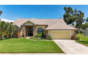 2416 Buckhorn Run Dr, VALRICO