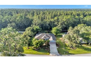 2514 DEERBROOK DRIVE, LAKELAND, FL 33811 - MLS#MFRL4955015