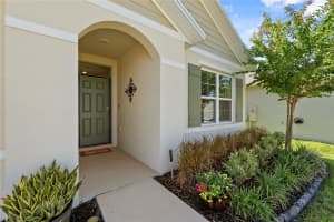 1451 FOX SQUIRREL DRIVE, DAVENPORT, FL 33897 - MLS#MFRL4955043