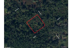 1214 HAVILAND STREET, LAKE PLACID, FL 33852 - MLS#MFRL4955180