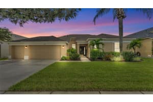 5123 Whispering Leaf Trl, VALRICO
