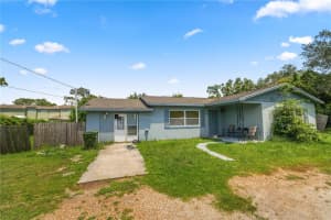 4312 E Grove View Ave, TAMPA