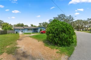4312 GROVE VIEW AVENUE, TAMPA, FL 33617 - MLS#MFRL4955517