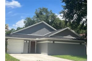 6011 LEMON TREE COURT, TAMPA, FL 33625 - MLS#MFRL4955597