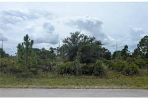 3430 GERBER AVENUE, LAKE PLACID, FL 33852 - MLS#MFRL4955661