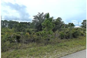 3430 GERBER AVENUE, LAKE PLACID, FL 33852 - MLS#MFRL4955661