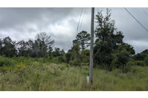 109 FALCON COURT, LAKE PLACID, FL 33852 - MLS#MFRL4955734