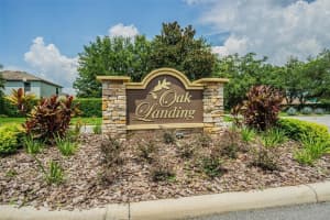 229 OAK LANDING LANE, MULBERRY, FL 33860 - MLS#MFRL4955825