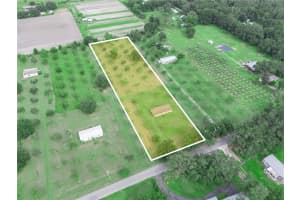 8564 CAREY ROAD, LITHIA, FL 33547 - MLS#MFRL4955872