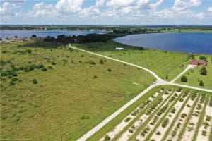 220 SHOCKLEY ROAD, AVON PARK, FL 33825 - MLS#MFRL4955898