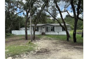 4319 POCAHONTAS DRIVE, DADE CITY, FL 33523 - MLS#MFRL4956042