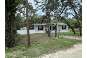 4319 POCAHONTAS DRIVE, DADE CITY, FL 33523 - MLS#MFRL4956042