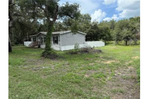 4319 POCAHONTAS DRIVE, DADE CITY, FL 33523 - MLS#MFRL4956042
