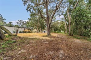 34941 PUNCH ROAD, DADE CITY, FL 33523 - MLS#MFRL4956296