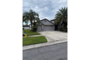 20106 BLUE DAZE AVENUE, TAMPA, FL 33647 - MLS#MFRL4956342