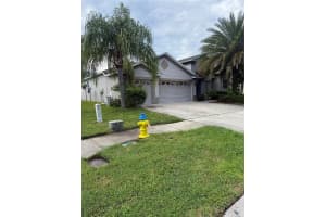 20106 BLUE DAZE AVENUE, TAMPA, FL 33647 - MLS#MFRL4956342