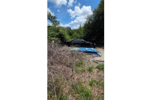725 HICKORY HAMMOCK ROAD, LAKE WALES, FL 33859 - MLS#MFRL4956359
