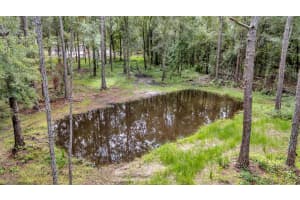 15140 COMMONWEALTH AVENUE, POLK CITY, FL 33868 Sold 12/19/25