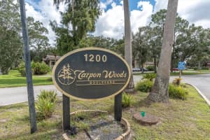 1200 TARPON WOODS BOULEVARD, PALM HARBOR, FL 34685 - MLS#MFRL4956409